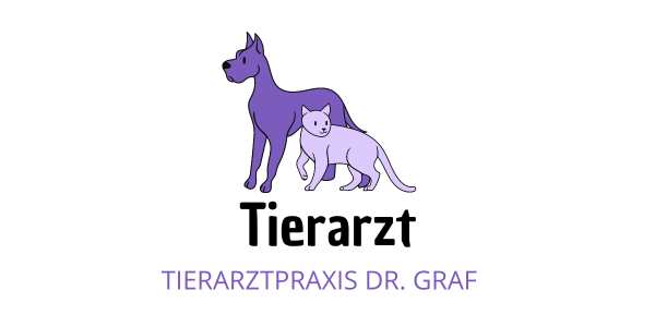 Referenz Elektroinstallation Gewerbe